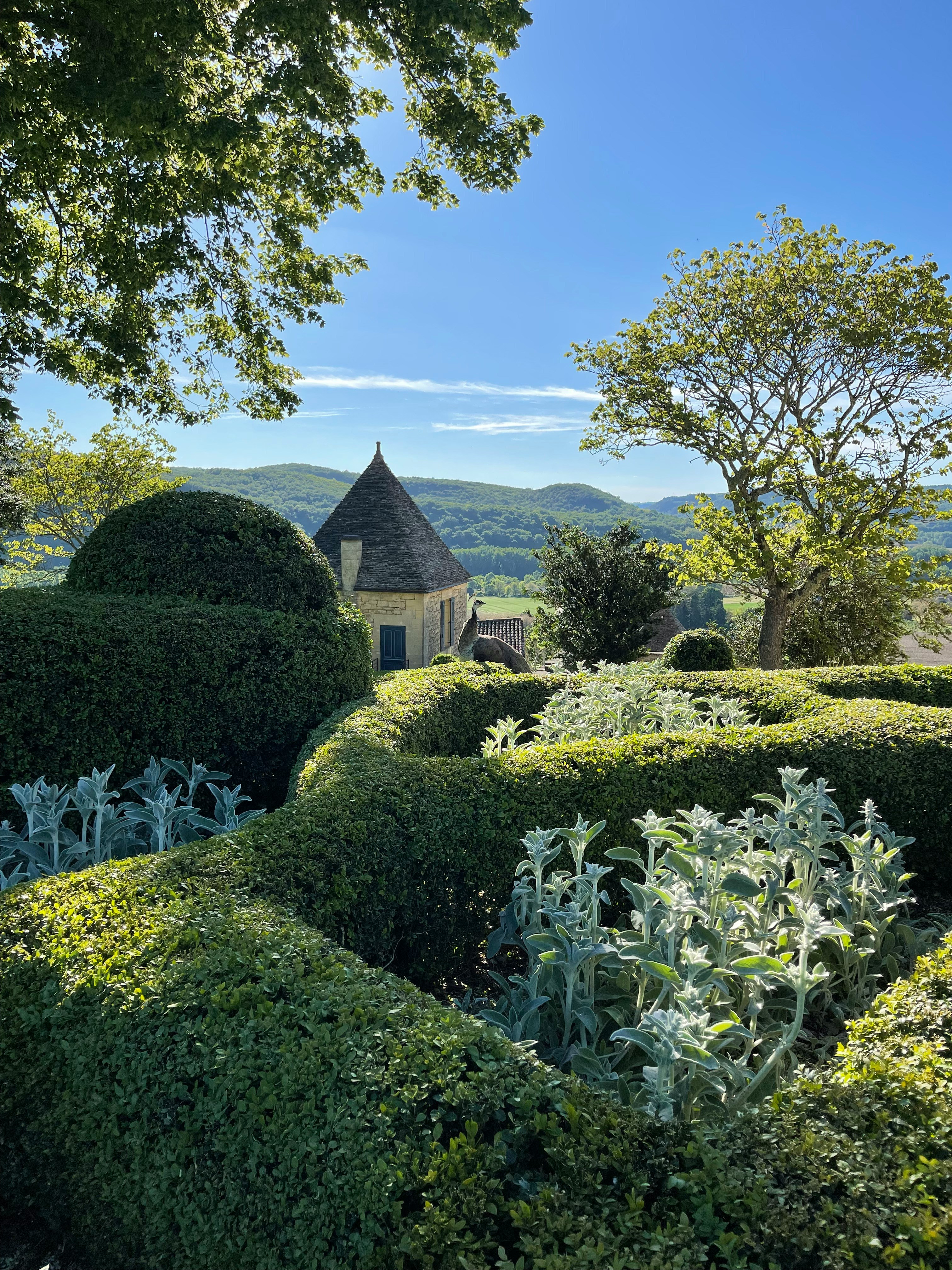 Jardin fleuri coloré et méditerranéen